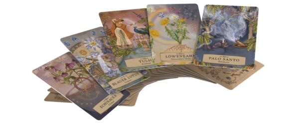 Herbal Astrology Orakel - Kartenfächer