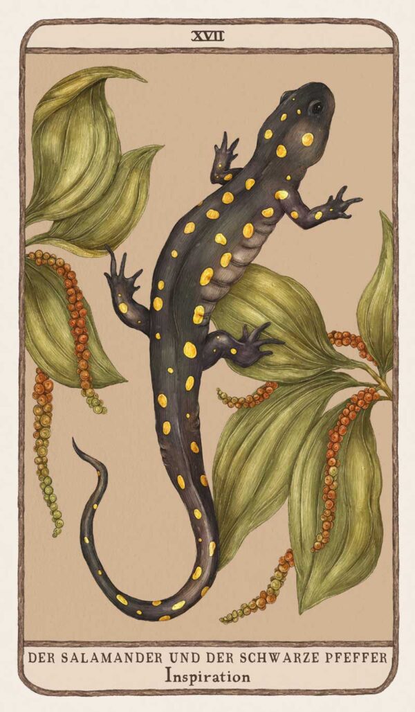 Woodland Wardens - Der Salamander und der schwarze Pfeffer - Inspiration